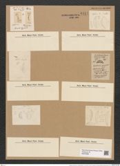 Cystopleura musculus var. constricta (Breb.) V.H. (de-Toni-Nr.: Genus 103, Species 3128) Zeichnungen Sammlung Grunow Nr. 6411 (NHMW-BOT-W0375088)